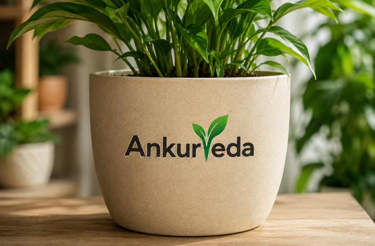 Ankurveda Gallery