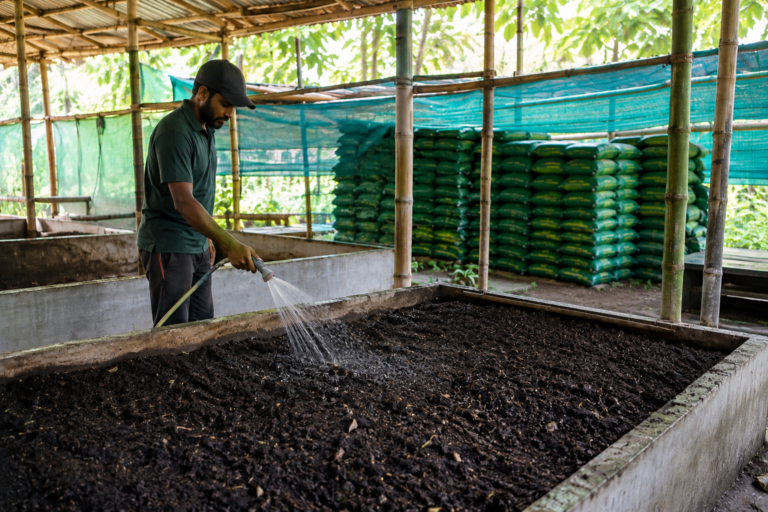 Vermicompost